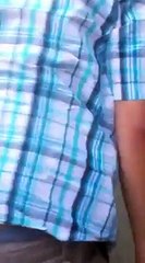 When Idiots Meet Alligators