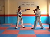 Martial Arts Training Tips : Sparring Skills Lesson : www.MartialArtsTraining.TV