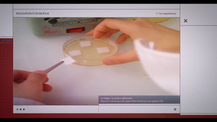 Les biofilms (vidéo de PTA du lycée Liberté, Romainville)