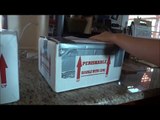 Receiving HUGE Reptile Shipment!