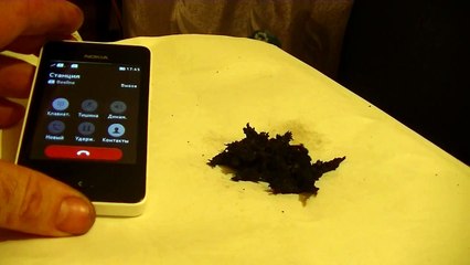 Magnetic Dust Becomes Alive Close To Mobile Phone