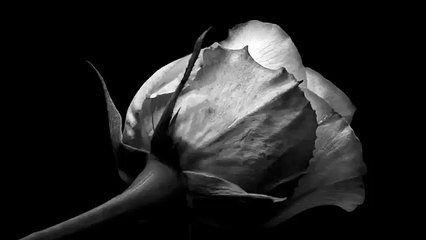 Radiohead-Creep (Cover just 4 Fun)