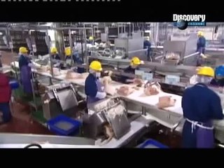 How Its Made - Cooked Ham