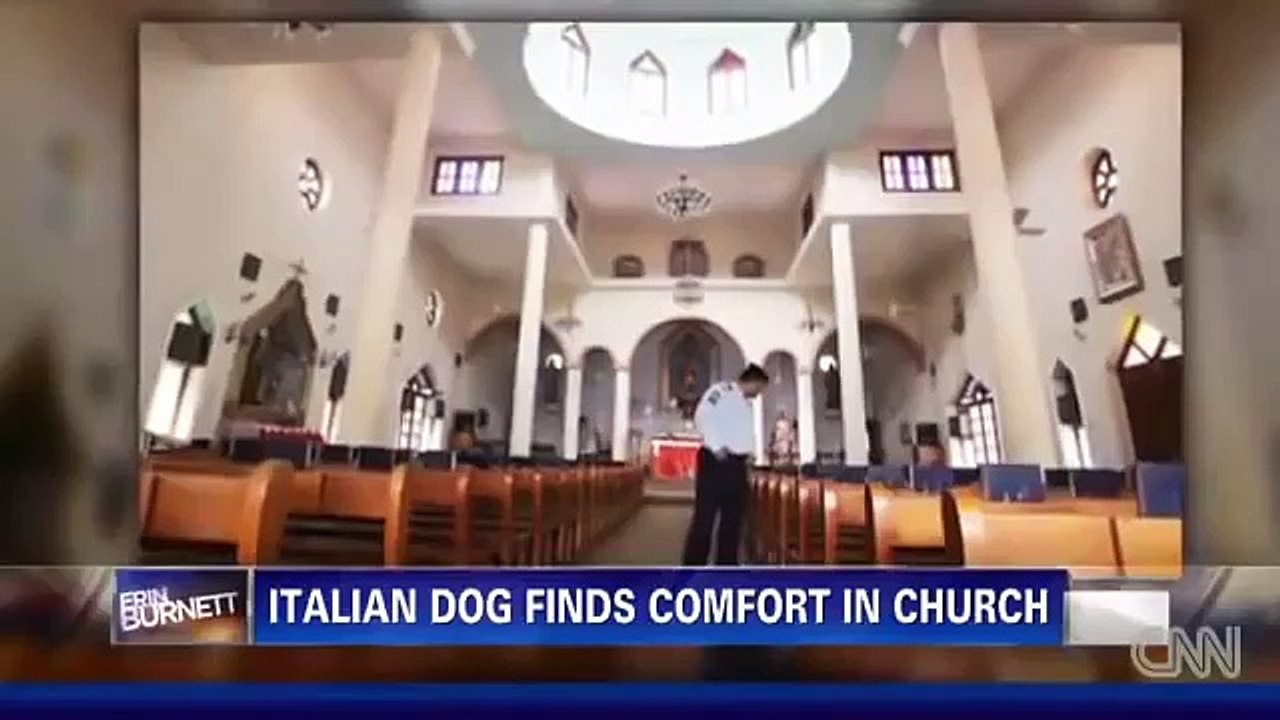 Dog's Owner Passed Away, And What Happened Next Is Simply Unbelievable