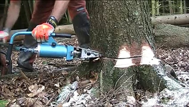 Hidrolik kriko ile ağaç nasıl kesilir._