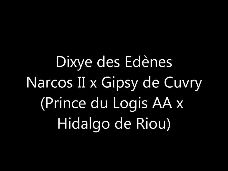 Dixye des Edènes 2 ans saut