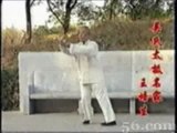 Wang Pei Sheng 37 posture [1/2]