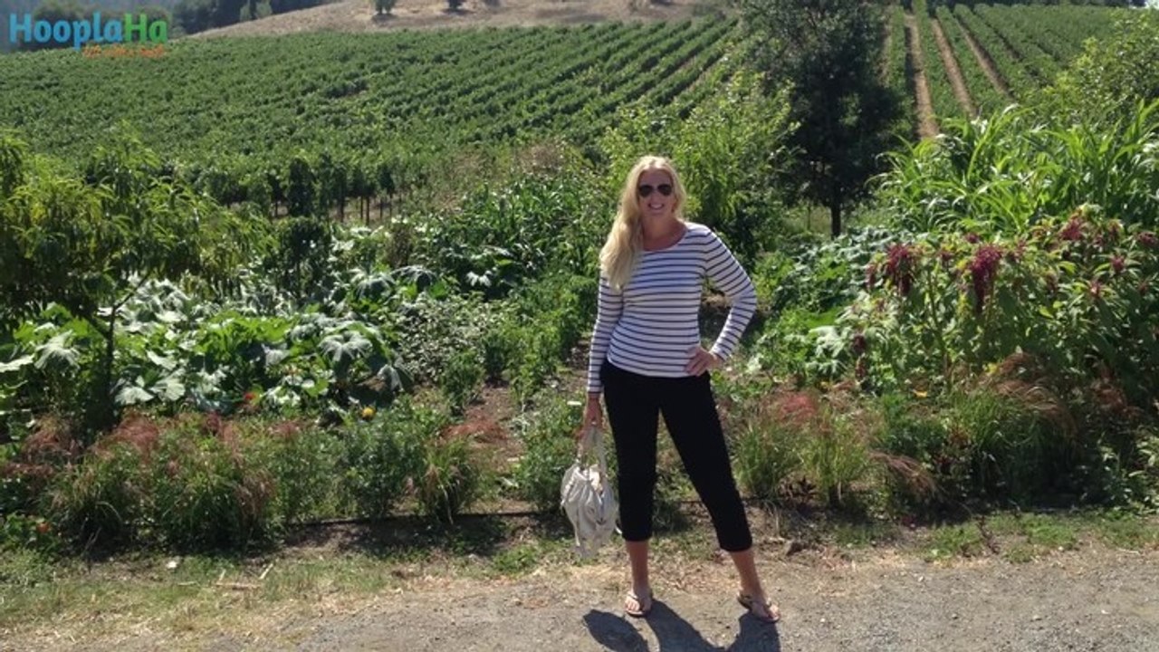 Gossip Columnist Leaves Lavish Life To Find Happiness