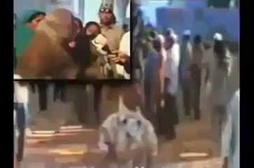 Purey Hindustan ko Hila Dene Wali Akber Owaisi Ki Video