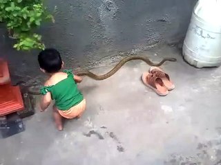 baby playing with snake
