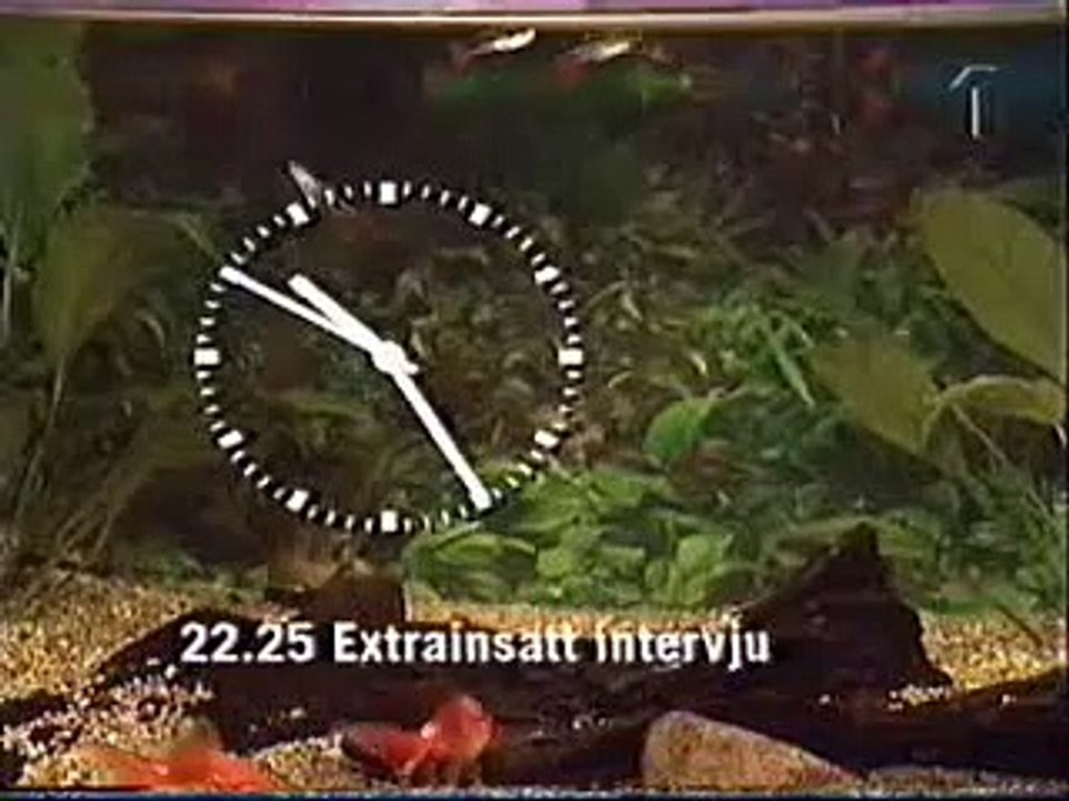 Varan-tv - Intervju med ett av Kommunismens Offer