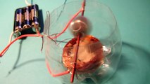 Simple motor and simple brushless Motor