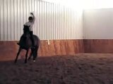Horse bolting, bucking, rearing, leaping