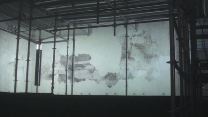 Revelado en Italia un mural de Da Vinci oculto durante 500 años