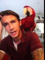 Q&A | Macaws | What Should I know Before Getting A Macaw?