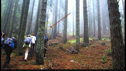 Don't Believe in Nephilim? You Will After This: Photos, Top-Secret FBI Docs & More