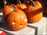 Growing pumpkins and How to prepare pumpkin seeds