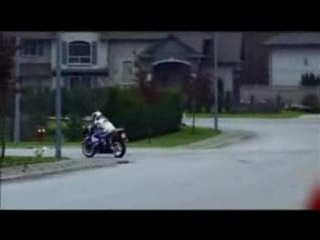 Promener-son-chien-moto