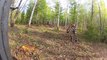Epic Tiger Release in Far East Russia
