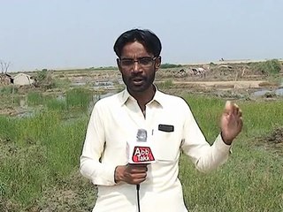 Badin As Live 2 Tofan