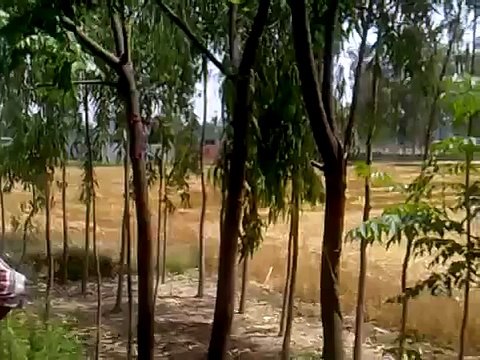 funny video in desi jatt Low?syndication=228326