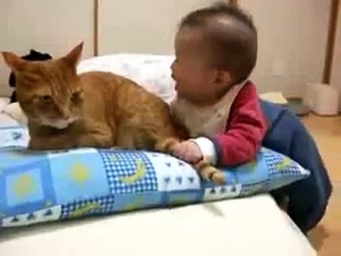 funny video new clips 3 Baby bites cat’s tail?syndication=228326