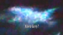 Breaking News UFO Sightings Alien Grey In Huge Fying Saucer Amazing Footage!