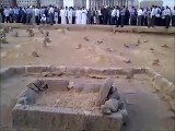 Jannat ul Baqi - Now and Then