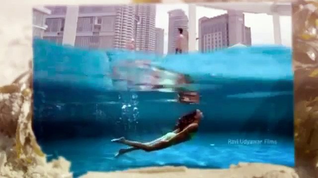 The Pool Maintenance and Repair Services