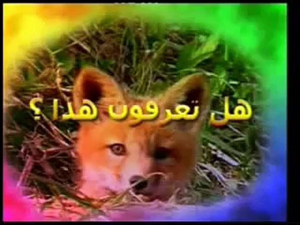 عالم الحيوان