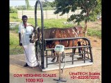 Tamil Nadu Veterinary and Animal Weighing Scales Manufacturers and Suppliers in Tirupur, UmaTECH Weighing Scales Company