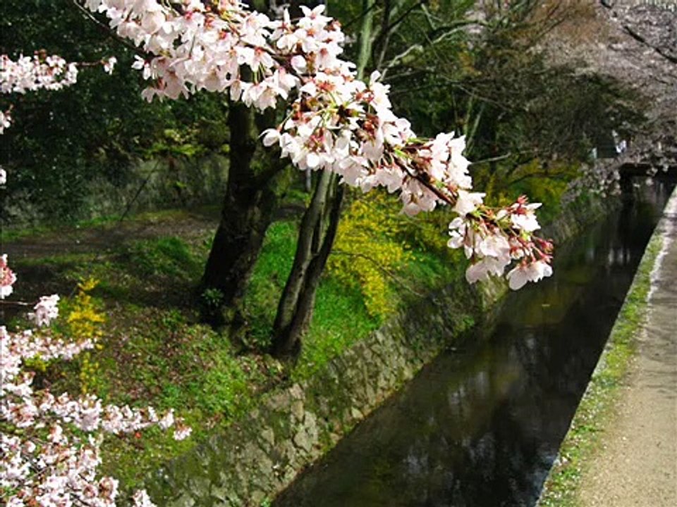 Best of Kyoto