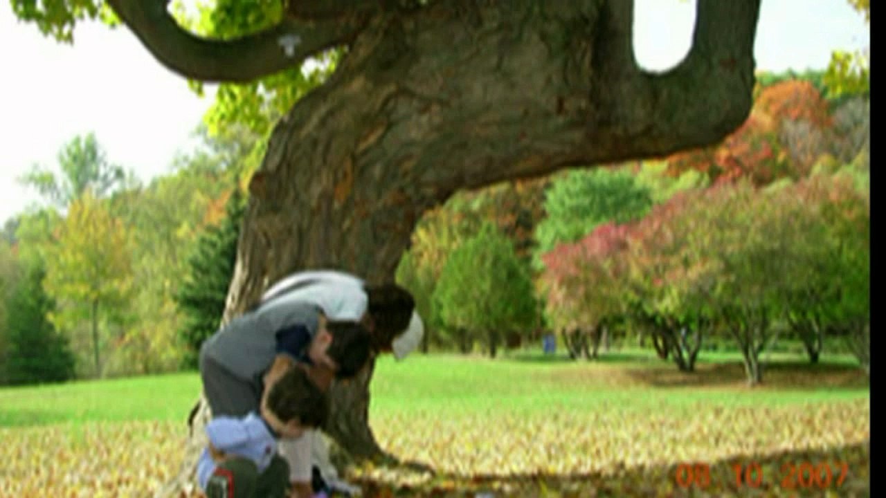 allah miracles  معجزة الله في خلق الكون ستصيب كل ملحد بالجنون