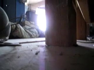 American soldier crying for their life in America war irak