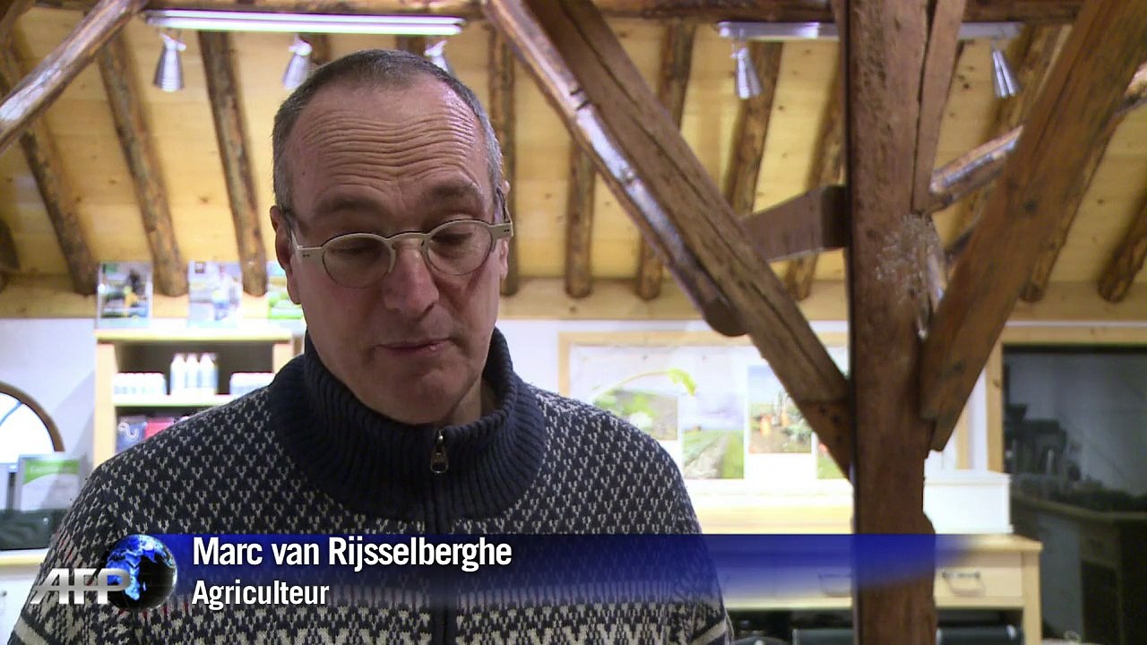 Aux Pays-Bas, des patates au sel contre la faim dans le monde