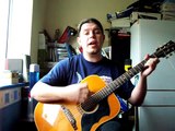 Heaven - Bryan Adams - Acoustic Rock Cover by Phil Colwill Beavisthelizard