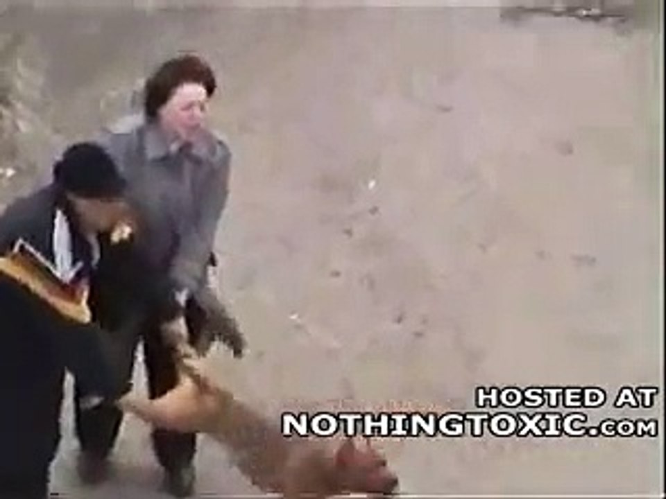 Pit Bull Attacks
