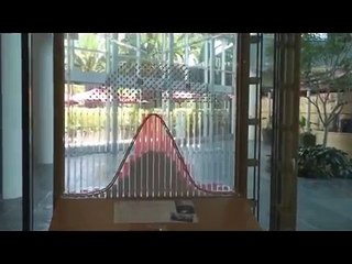 IFA.tv - Probability Machine, Galton Board, Randomness and Fair Price Simulator, Quincunx