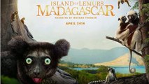 Watch Island of Lemurs: Madagascar (2014) Full Movie Online