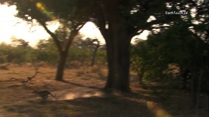 Graphic Content Warning: Mother Carries Dead Baby