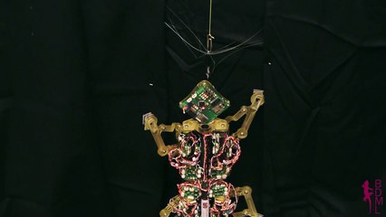 Un microrobot qui tracte 100 fois son poids