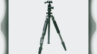Dolica ZX600B103 Professional 60-Inch ZX Series Carbon Fiber Tripod with Ball Head and Carry