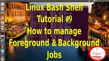 Linux Bash Shell Tutorial #9 How to manage background and foreground jobs in Linux terminal .7 tips