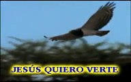 Adventistas:: Video Canto: Abre mis ojos