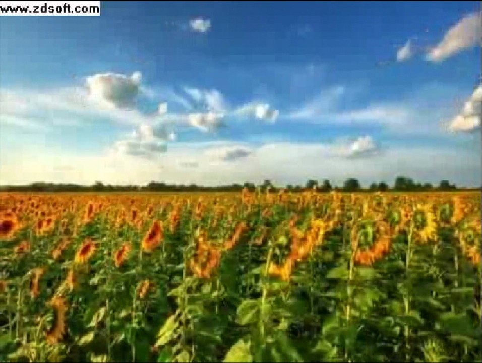 Кореева Виктория Родина