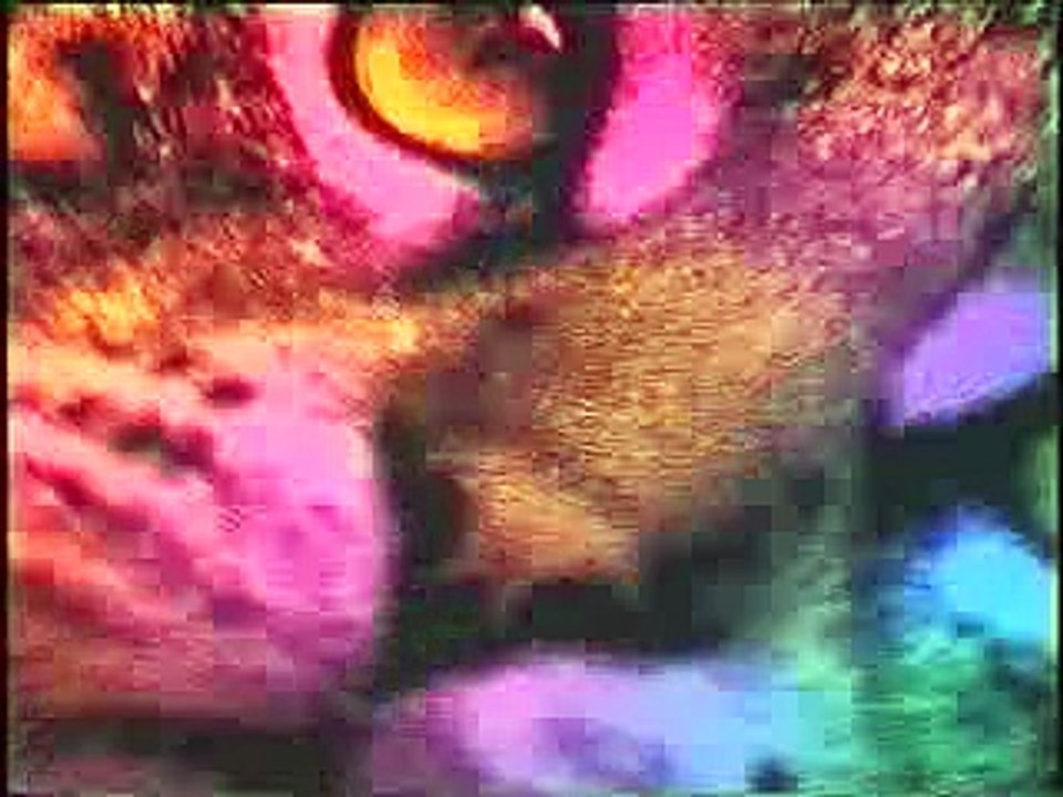 VeV retro 2000_2001