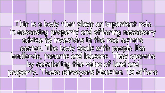 Services Provided By Surveyors Houston TX Has