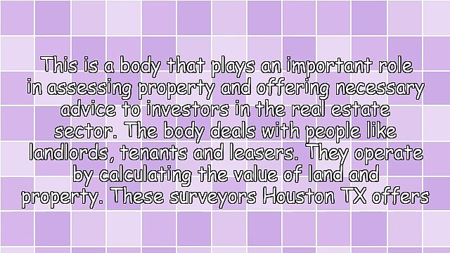 Services Provided By Surveyors Houston TX Has