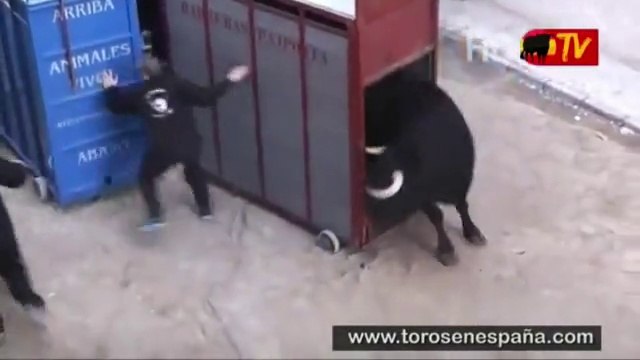 Un taureau très en colère s'échappe de sa cage à coup de cornes!