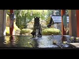 山梨県のパワースポット 富士浅間神社の手水 開運写真動画